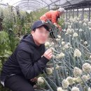 영롱농장 이미지