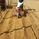 대홍초등학교병설유치원 이미지