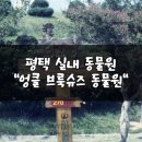 엉클슈즈 이미지