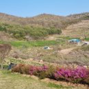 부운농장 이미지