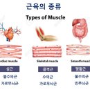 빌드핏 네이버블로그