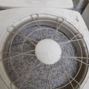 서천초등학교 이미지