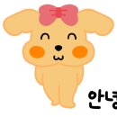 표나개 반려애견 미용실 이미지