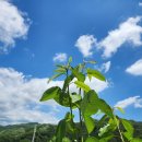 북성농장 이미지