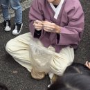김해분청도자기 축제 | 김해 분청도자기축제 솔~직한 후기 🥣 + 꿀팁🍯