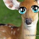 리오더플러스 이미지