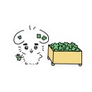 우림총판