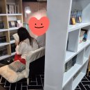북니스베이프