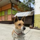 즐거운 뮤직케어링 이미지