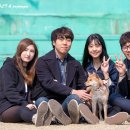 시바나라 이미지