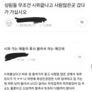 성림들 시위 끝나고 집 가시기 전에 사람 많은곳 들렀다 가싶셔 이미지