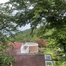 성림포레스트