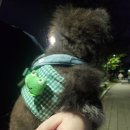 락휴노래연습장 수택2호점 이미지