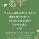 하루를 세우는 실제적인 행동, 기도 이미지