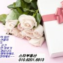 신목초교 이미지