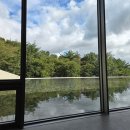 열무약국 | 24주차 프리솔라 임신축하박스 후기와 요즘 일상