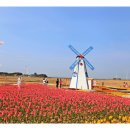 대부바다향기 테마파크 이미지