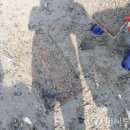 신안환경 이미지