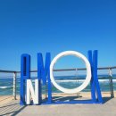 보람전기 | [울릉도·독도 여행] 백패킹·캠핑·전기스쿠터 투어 완벽 정리｜강풍 후기