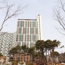 목동초등학교(병설포함) 네이버블로그