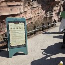 자유랜드 | 에버랜드 워킹사파리 튤립축제 평일 오픈런 후기 자유이용권 가격 할인 정리