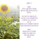 8월 1일(월) 오늘 8월 첫날과 한주시작하는 월요일 이미지