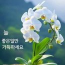 ♤돌팔이와 장돌뱅이♧ 이미지