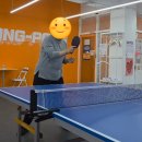 탁구 초급반 이미지