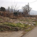 마중리 Daum카페