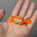 6-118 TS | 벌써 8월의 반이 흘럿은