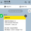 다수곡 | 2025-11-4주 / 우즈 프리뷰 인덱스콘서트 후기