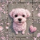 샘약국 | 🌿 아픈 강아지 구충제, 경제적인 선택? 약국에서 상담 후 바른 '임팩트액' 후기