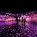 아르떼뮤지엄 이미지