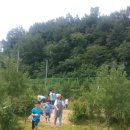 상용농장 이미지