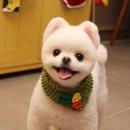 바둑이 이발소 이미지