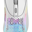 글로리어스 이미지