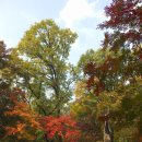 위 러브 피아노 이미지