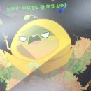 웰빙비타민