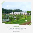 7성인게임장 | 용인 당일치기 캠핑장 캠핑야미｜물놀이부터 에어바운스, 삼겹살까지 주말 방문 솔직 후기