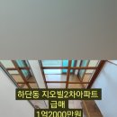 하단동146 이미지