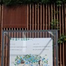 정독도서관 뜰에도 가을이 다가왔네요 이미지