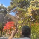 [충북/제천] 리솜 포레스트 "해브나인 스파" 준비물 & 예약 꿀팁 내돈내산 솔직후기