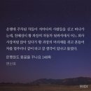 썬더치킨(동아대병원점) | 캐나다 토론토 워홀 +750 : ROM, Canoe, 미국ER, PAI, 리버데일 파크, ossington fest, AGO, Badiali...