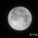 블루문 이미지