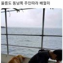 배약국 이미지