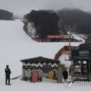 베어스 타운 이미지