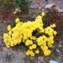 가마실마을 이미지