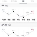 근력스트레칭(2) 이미지