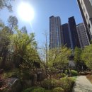 반포정공인중개사사무소 이미지