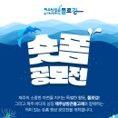 제주남방큰돌고래와 함께하는 플로깅 ＜숏폼 공모전＞ 이미지